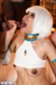Sara receiving cum in her mouth looking up